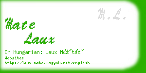 mate laux business card